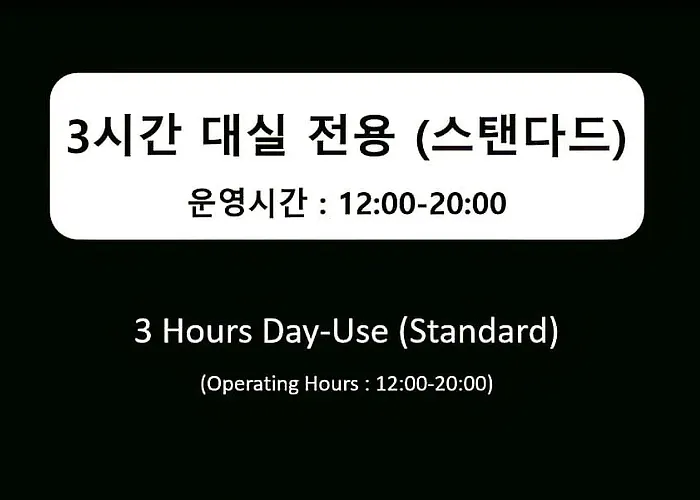 Hotel Yongsan 3*